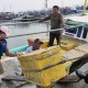 Pemerintah Diminta Gandeng Nelayan dan Pembudidaya Ikan Atasi Kerawanan Pangan
