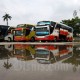 Jumlah Penumpang Bus AKAP Sepi, Rute Ini Tetap Ramai