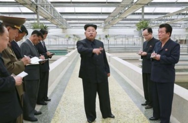 Dikabarkan Kritis, Kim Jong-un Pantas Digantikan 2 Petinggi Korea Utara Ini