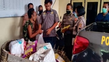 Pemulung Terpaksa Curi Gabah di Sawah Demi Makan Keluarga