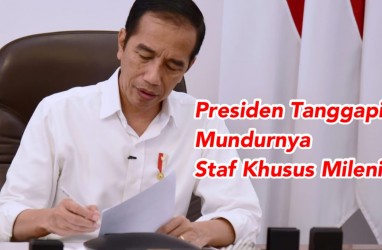 Staf Khusus Milenial Belva dan Andi Taufan Mundur, Begini Jawaban Jokowi