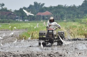 Anggota Dewan : Pak Jokowi Harus Belajar dari Gagal…