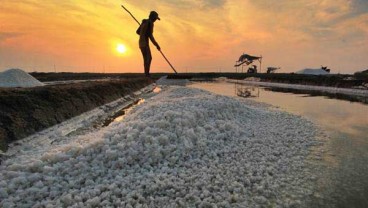 OPINI: Covid-19, Garam dan Nasib Petani