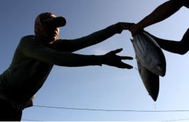 DFW Minta KKP Keluarkan Protokol Kesehatan Awak Kapal Ikan