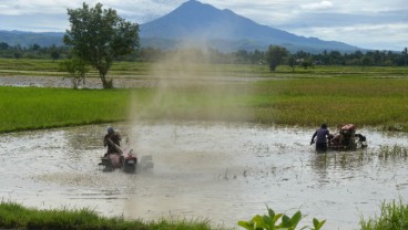 Percepat Tanam Padi, Petani Perhutanan Sosial Minta Saprodi