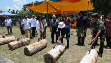 Defisit Beras, Warga Riau Disarankan Makan Sagu