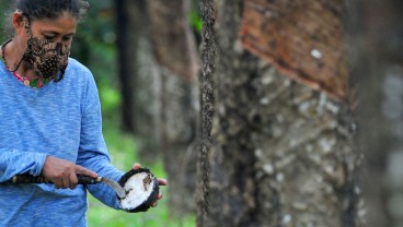 Harga Menukik, Pabrik Bokar di Kalsel Tetap Berproduksi