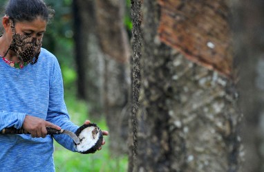 Harga Menukik, Pabrik Bokar di Kalsel Tetap Berproduksi