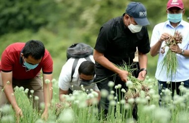 Realisasi Pendapatan Sumut 2019 Rp13,08 Triliun, 2020 Diproyeksi lebih Rendah