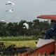 Proyek Cetak Sawah Baru, Menyemai Tuah di Tanah Rawa