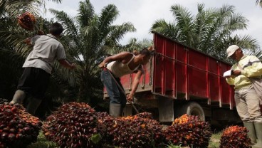 Harga CPO Melorot, Permintaan Domestik Astra Agro Stabil