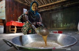 Manisnya Gula Semut dari Desa Bandung di Boyolali