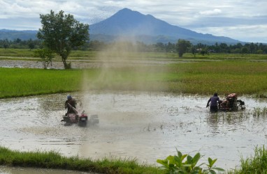 PKS Pertanyakan Upaya Pemerintah Cetak 600 Ribu Ha Sawah Baru 