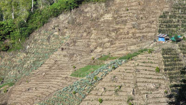 ALIH FUNGSI HUTAN UNTUK KEBUN