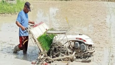 Pemkab OKI Serap Beras Petani untuk Bansos Warga Terdampak Covid-19