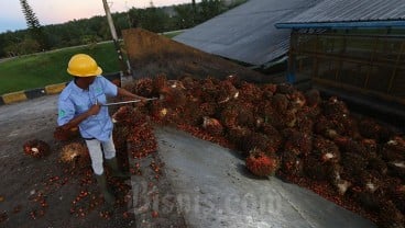 5 Berita Populer Ekonomi, Ratusan Perusahaan Sawit Langgar Ketentuan dan UU Minerba, Angin Segar Bagi Pemegang PKP2B?