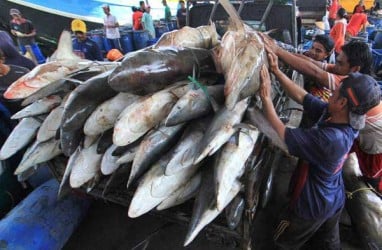 Konsumsi Sirip Hiu di Jakarta 2 Ton per Tahun, WWF Desak Hentikan Konsumsi Hiu