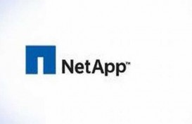 NetApp Tunjuk Veteran Microsoft Jadi Bos Baru