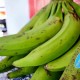 Nutrisi Pisang Agung Semeru Berkali Lipat Dibandingkan Cavendish