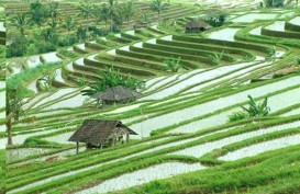 Sektor Pertanian Jadi Alternatif Penopang Ekonomi Bali