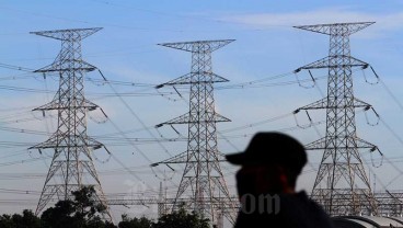 Antisipasi Gangguan Listrik, PLN Lakukan Penebangan Pohon di Sumatra dan Kalimantan