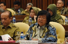 Menteri Siti Nurbaya Nikmati Halal Bihalal Virtual
