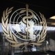 WHO: Amerika Latin Jadi Pusat Pandemi Covid-19 Baru