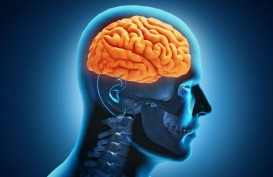 Penelitian Ungkap Keterkaitan Covid-19 dengan Otak Manusia