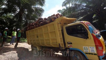 Sawit Sumbermas (SSMS) Tegaskan Kemampuan Bayar Bunga Obligasi