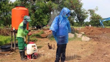 Pertumbuhan Angka Kematian Akibat Covid-19 Tertinggi di Jawa Timur, Disusul Maluku Utara dan Sumsel