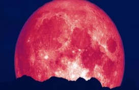 Saksikan Bulan Purnama Strawberry Jumat Pekan Ini, Siapkan Lensa Tele Anda