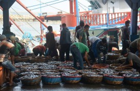Serap Ikan Nelayan, Pemerintah Optimalkan Pasar Daring dan Ekspor 