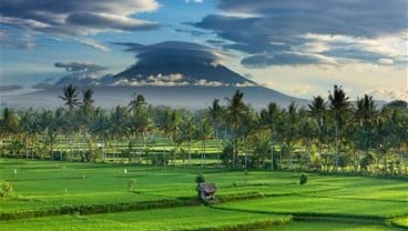 PROSPEK EKONOMI BALI :  Pertanian Lebih Seksi Ketimbang Pariwisata