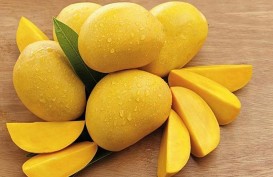 Ini Resep Makanan Sehat dari Mangga