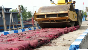 Bea Cukai Kuala Langsa Musnahkan Bawang Merah Ilegal Hasil Operasi Laut Jaring Sriwijaya