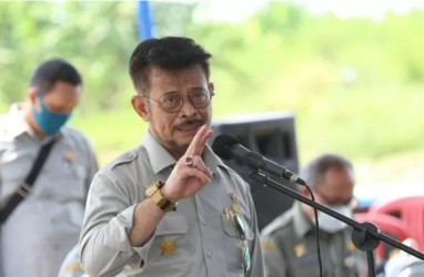 Kalteng Didorong Jadi 'Food Estate', Ini Potensi Pertaniannya