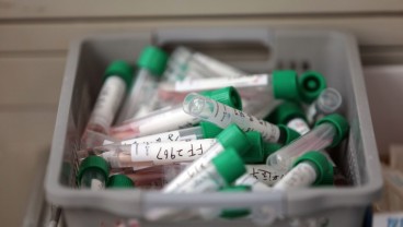 Penelitian Harvard: Virus Corona Dimulai  Agustus 2019, Benarkah?