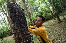 Terus Bertahan Sampai Ban Karet Berganti Besi