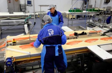Chile Bujuk China Impor Ikan Salmon Lagi
