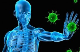 5 Cara Tingkatkan Imunitas Melalui Makanan Bergizi Saat Pendemi Corona