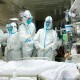 PBB, WHO, dan WWF Sebut Pandemi Corona Karena Kerusakan Alam