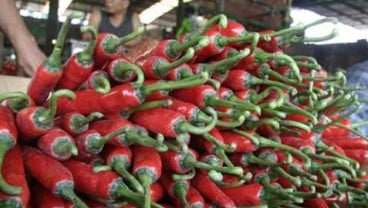 Harga Cabai Merah di Ambon Melonjak 33 Persen ke Rp80.000 per Kilogram