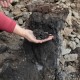 Kebakaran Batu Bara di Siberia Sebabkan Kepunahan di Bumi 250 Juta Tahun Lalu