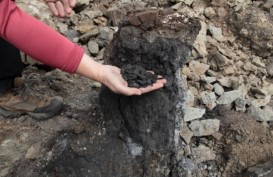 Kebakaran Batu Bara di Siberia Sebabkan Kepunahan di Bumi 250 Juta Tahun Lalu