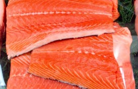 Salmon dari Norwegia Bukan Sumber Kasus Baru Covid-19 di Beijing 