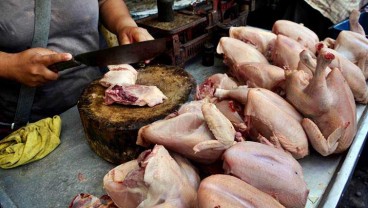 Harga Daging Ayam di Kota Bandung Tembus Rp40.000 per Kilogram