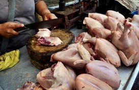 Harga Daging Ayam di Kota Bandung Tembus Rp40.000 per Kilogram