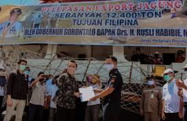 Dikawal Bea Cukai, Gubernur Gorontalo Lepas Ekspor 12.400 Ton Jagung ke Filipina
