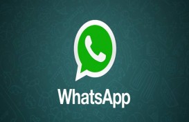 WhatsApp Error, Fitur Last Seen dan Online Menghilang