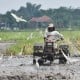 Pemberdayaan Petani di Ranah Perdagangan